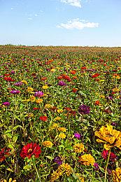 《怪物猎人：荒野》着色器编译问题 官推建议删除缓存文件